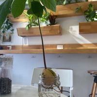  at Avokado Bar in Istanbul