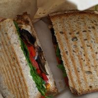 Hungry rabbit at Black Rabbit in Edinburgh