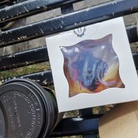 Berry cruffin at Black Rabbit in Edinburgh
