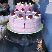   at Black Rabbit in Edinburgh