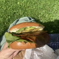   at Black Rabbit in Edinburgh