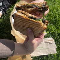 Green rabbit   at Black Rabbit in Edinburgh