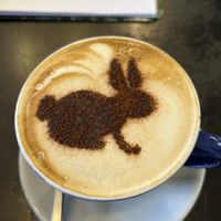 Amazing 😻   at Black Rabbit in Edinburgh