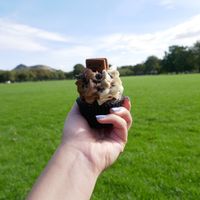 Delicious cupcake at Black Rabbit in Edinburgh