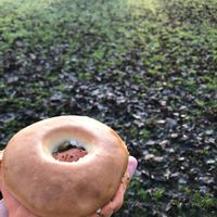 Salmon & cheese bagel at Black Rabbit in Edinburgh