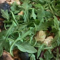 Tomaaten at OVN in Bellingham