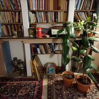 Boardgames and books 📚 at Dobrá Cajovna in Kutna Hora