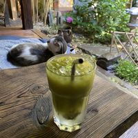   at Dobrá Cajovna in Kutna Hora