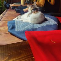  at Dobrá Cajovna in Kutna Hora