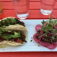 The vegan tacos from Salvatore’s in Madison were very delicious and were presented in a surprisingly beautiful way. at Salvatore's Tomato Pies in Madison