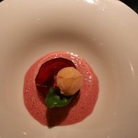 Starter at Maggese in San Miniato