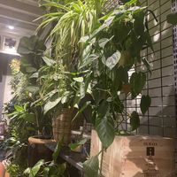   at Hosteria del Mercato in Rome