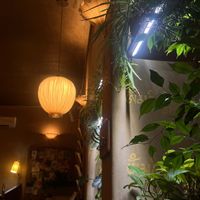   at Maitrea in Prague