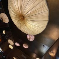 Lucious artful plant filled space  at Maitrea in Prague