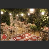 Garden at Cuore Rosso in Paros