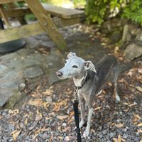   at Brambles in Inveraray