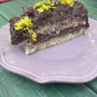   at Grön Vegan Yard in Nicosia