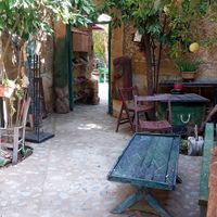  at Grön Vegan Yard in Nicosia