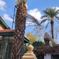  at Grön Vegan Yard in Nicosia