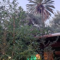  at Grön Vegan Yard in Nicosia