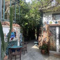   at Grön Vegan Yard in Nicosia