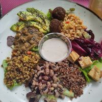  at Grön Vegan Yard in Nicosia