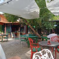  at Grön Vegan Yard in Nicosia