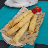  at Grön Vegan Yard in Nicosia