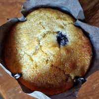Blueberry muffin at Fruit Tree Coffee Shop in Koh Lanta