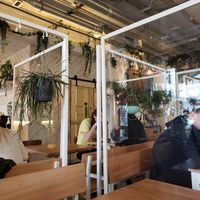  at Fauna & Flora in Lisbon