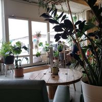  at Fauna & Flora in Lisbon