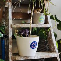   at Fauna & Flora in Lisbon