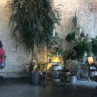 Place  at Fauna & Flora in Lisbon