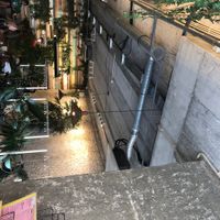 The place  at Fauna & Flora in Lisbon