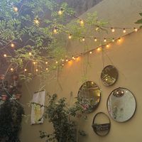   at Aromaticus - Trastevere in Rome