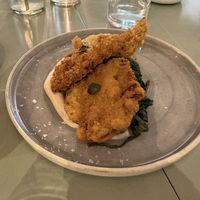 Fried pleus mushroomms  at Aromaticus - Trastevere in Rome