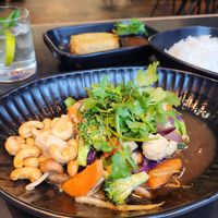 Tofu in ginger and soy and crispy spring rolls at WOK - Christianshavn in Copenhagen