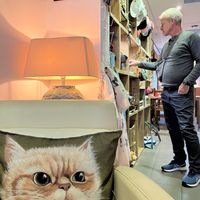 Catshop also available  at Jippies Kattencafe in Haarlem