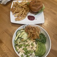   at NDMK in Santa Catalina Island