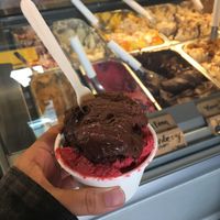 Double choc & Boysenberry  at Little 'Lato in Auckland