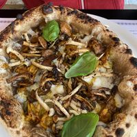 Foresta pizza  at Plant A Pizza in Ghent