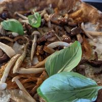  at Plant A Pizza in Ghent