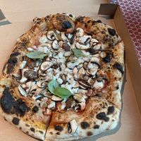 Fungi pizza   at Plant A Pizza in Ghent