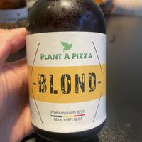 Blond  at Plant A Pizza in Ghent