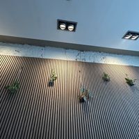   at Plant A Pizza in Ghent