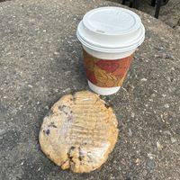 Chai tea with oat milk. And peanut butter chocolate chip cookie 🍪   at Orange Cat Coffee Co. in Lewiston