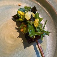  at De Nieuwe Winkel in Nijmegen