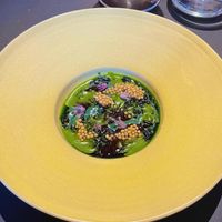   at De Nieuwe Winkel in Nijmegen