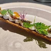   at De Nieuwe Winkel in Nijmegen