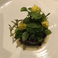   at De Nieuwe Winkel in Nijmegen